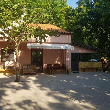 La Casetta Nel Bosco Per Turisti Castelbuono  Bagian luar foto