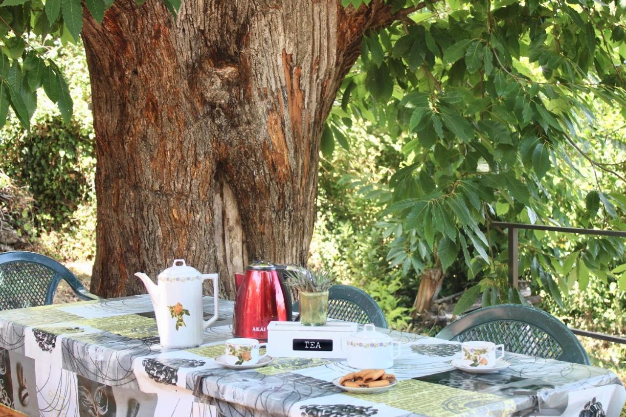 La Casetta Nel Bosco Per Turisti Castelbuono  Bagian luar foto
