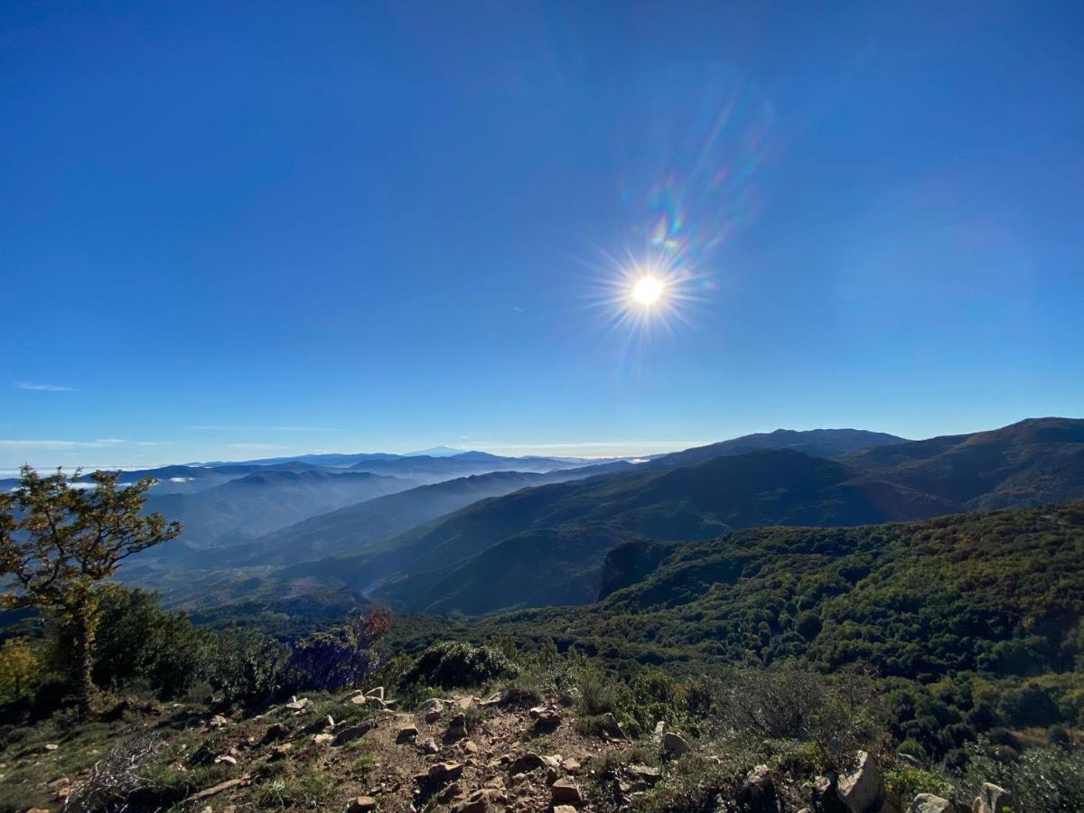 La Casetta Nel Bosco Per Turisti Castelbuono  Bagian luar foto