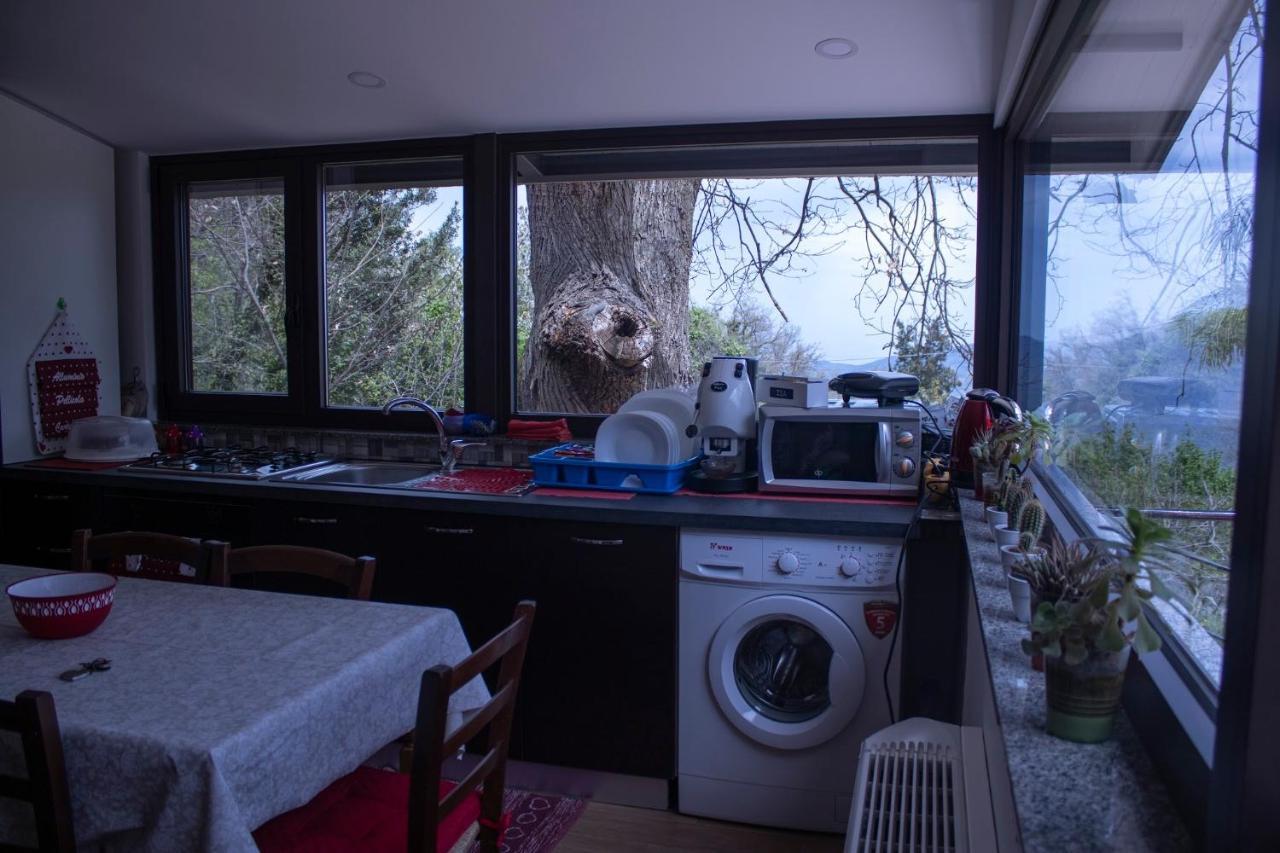 La Casetta Nel Bosco Per Turisti Castelbuono  Bagian luar foto