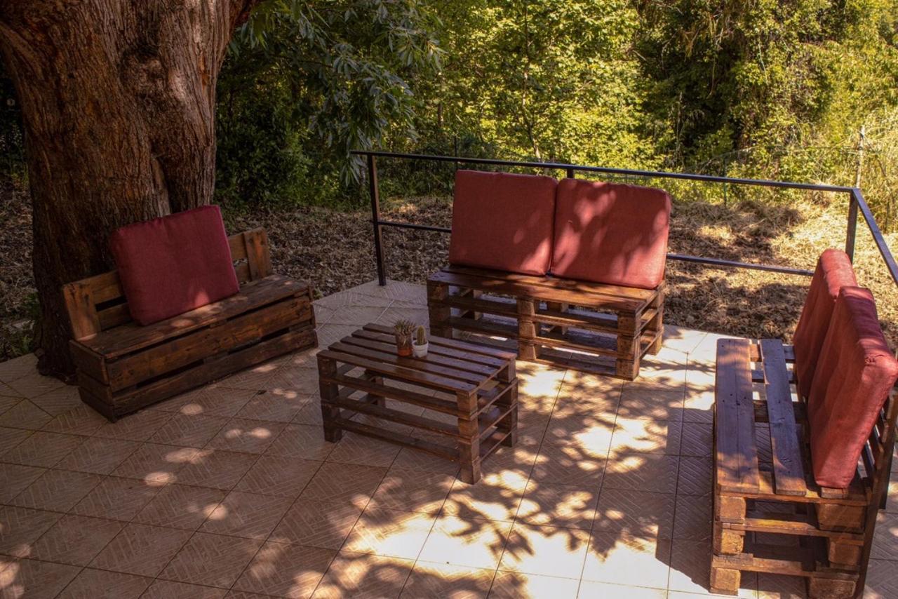 La Casetta Nel Bosco Per Turisti Castelbuono  Bagian luar foto