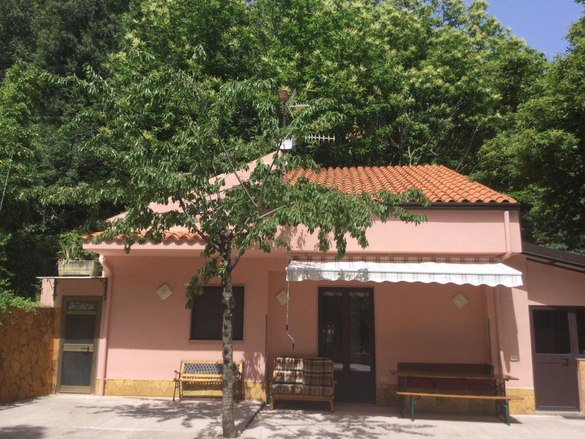 La Casetta Nel Bosco Per Turisti Castelbuono  Bagian luar foto